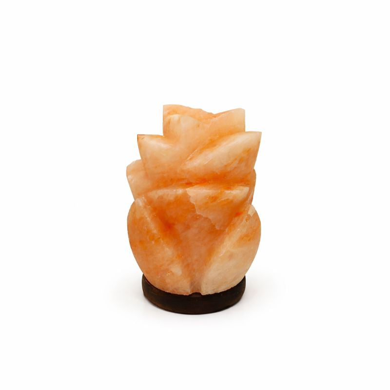 Himalaya Zoutlamp Bloem – 2 kg