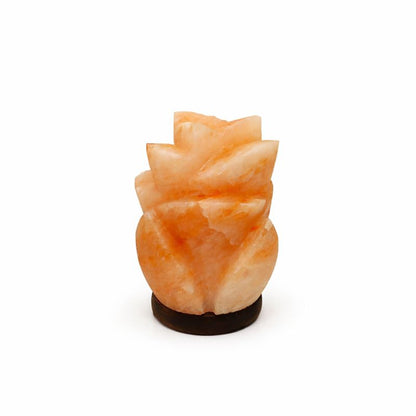 Himalaya Zoutlamp Bloem – 2 kg